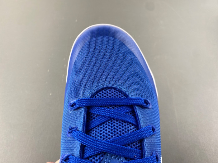 Nike Kobe 9 EM Protro“Game Royal” IH1401-400