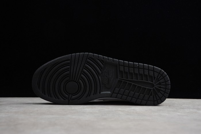 Air Jordan 1 High OG Defiant CD6579-071